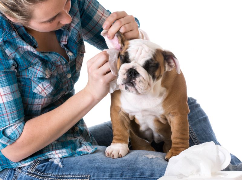 Improved Hygiene and Comfort