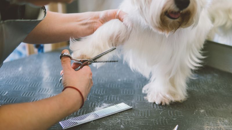 Reduced Shedding and Mats
